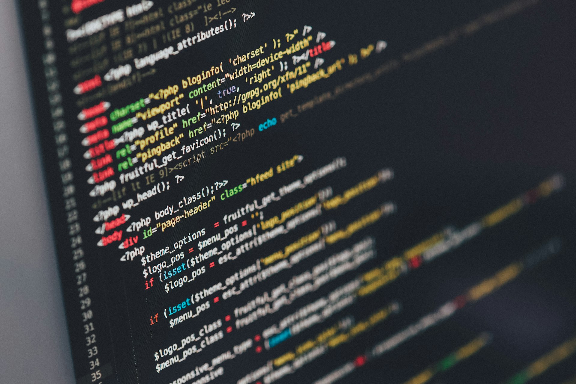 Software Audit